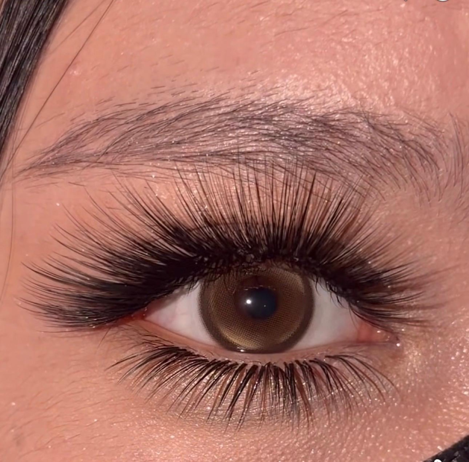 Auge mit Wimpernverlängerung in Nahaufnahme — dichte, fein gearbeitete Extensions